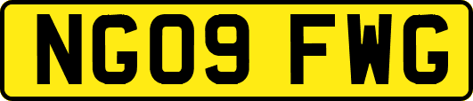 NG09FWG