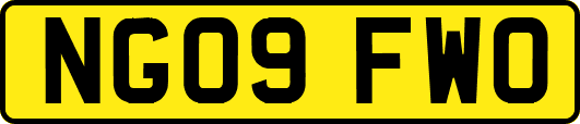 NG09FWO