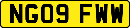NG09FWW