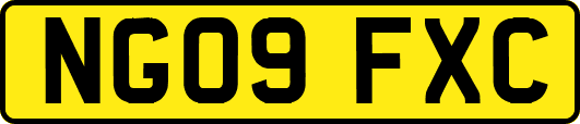 NG09FXC