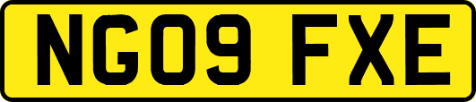 NG09FXE