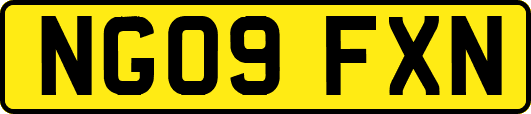 NG09FXN