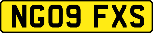 NG09FXS