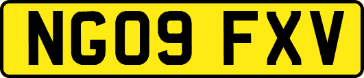 NG09FXV