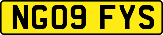 NG09FYS