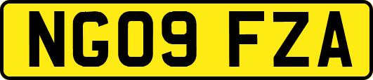 NG09FZA