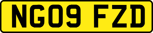 NG09FZD