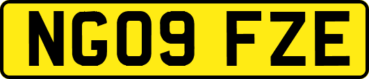 NG09FZE