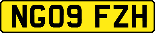 NG09FZH
