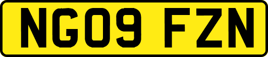 NG09FZN