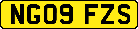 NG09FZS