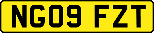 NG09FZT