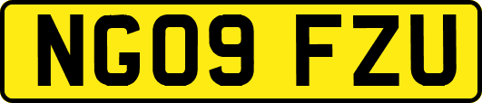 NG09FZU