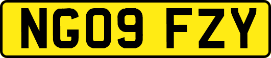 NG09FZY