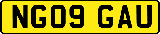 NG09GAU