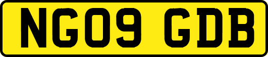 NG09GDB