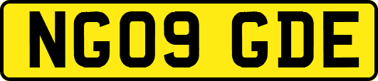 NG09GDE