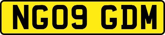 NG09GDM