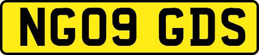 NG09GDS
