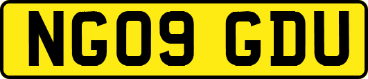 NG09GDU