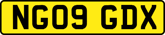 NG09GDX