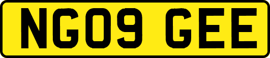 NG09GEE