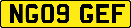 NG09GEF
