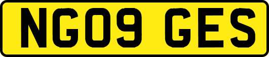 NG09GES