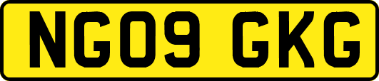 NG09GKG