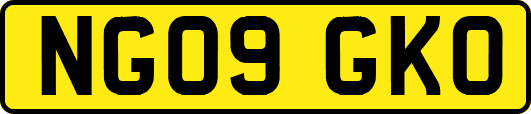 NG09GKO