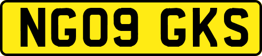 NG09GKS