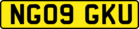 NG09GKU
