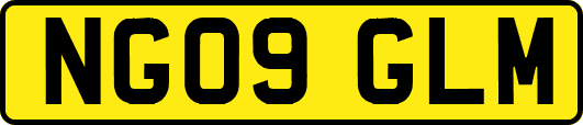 NG09GLM