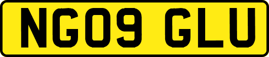 NG09GLU