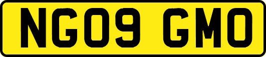NG09GMO