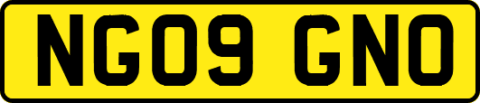 NG09GNO