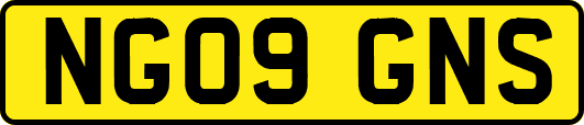 NG09GNS