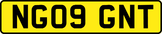 NG09GNT