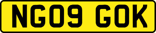 NG09GOK