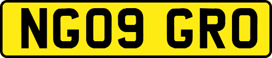 NG09GRO