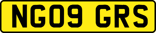 NG09GRS