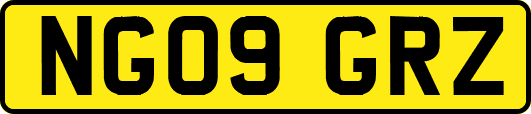 NG09GRZ