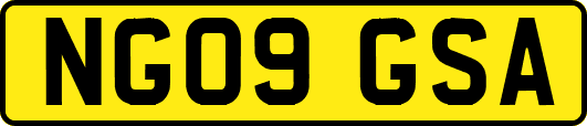 NG09GSA