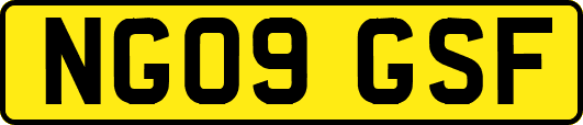 NG09GSF