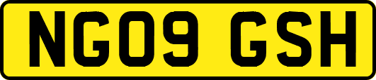 NG09GSH