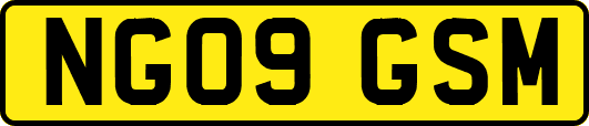 NG09GSM