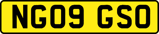NG09GSO