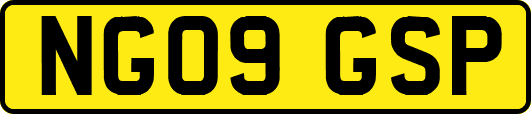 NG09GSP
