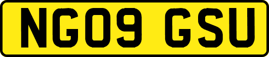 NG09GSU