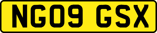 NG09GSX